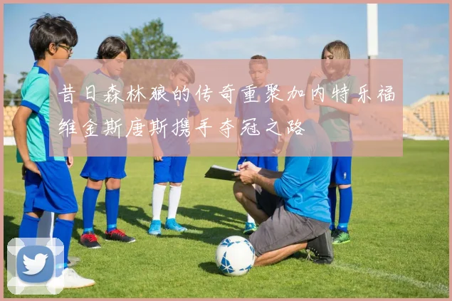 昔日森林狼的传奇重聚加内特乐福维金斯唐斯携手夺冠之路